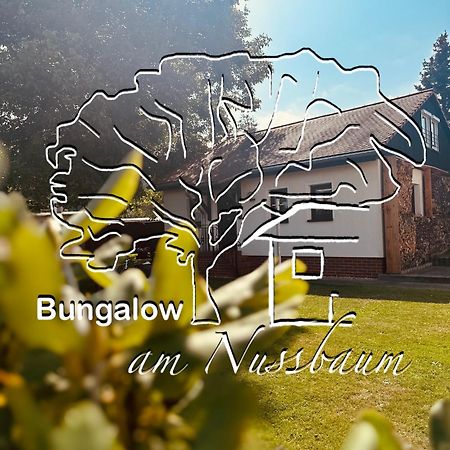 Bungalow Am Nussbaum Olbersdorf Екстер'єр фото