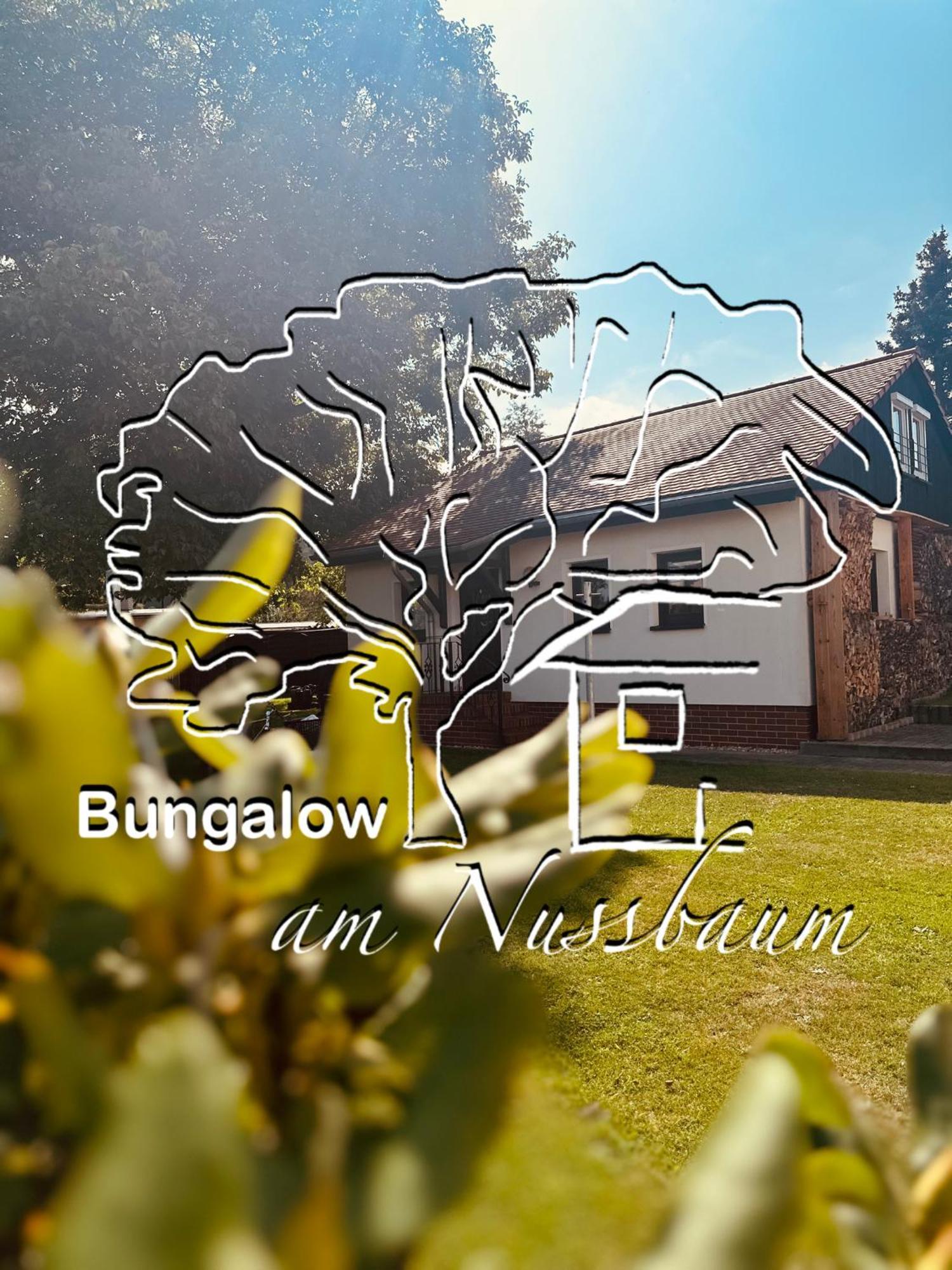 Bungalow Am Nussbaum Olbersdorf Екстер'єр фото